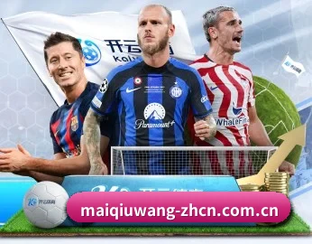比分查询与赛事提醒 - maiqiuwang