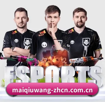 国际化进程(maiqiuwang)